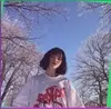 Зеленогорск, Эллада