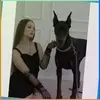 Чистополь, Подгаевская